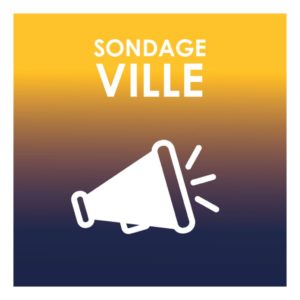 thumbnail of VIGNETTE_SITE_SONDAGE