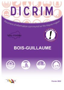 thumbnail of DICRIM_Bois-Guillaume_FEV2022