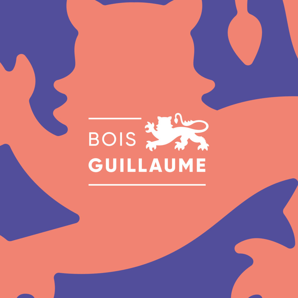 NOUVEL UNIVERS GRAPHIQUE – Bois-Guillaume