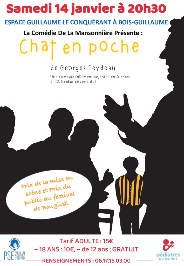 thumbnail of PDM affiche Théatre Chat en Poche (2)